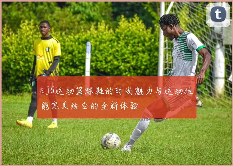 aj6运动篮球鞋的时尚魅力与运动性能完美结合的全新体验